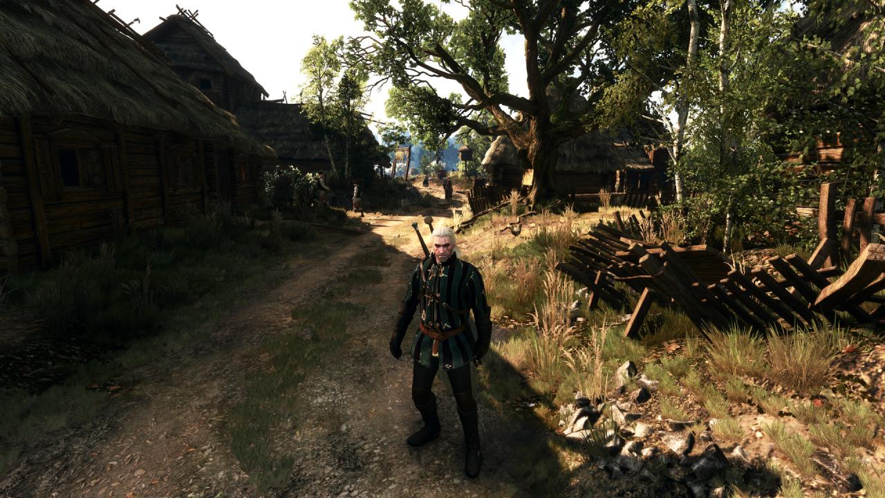 [27/05/2015] The Witcher 3 PCGH-Enthusiast (Hoch) (17)