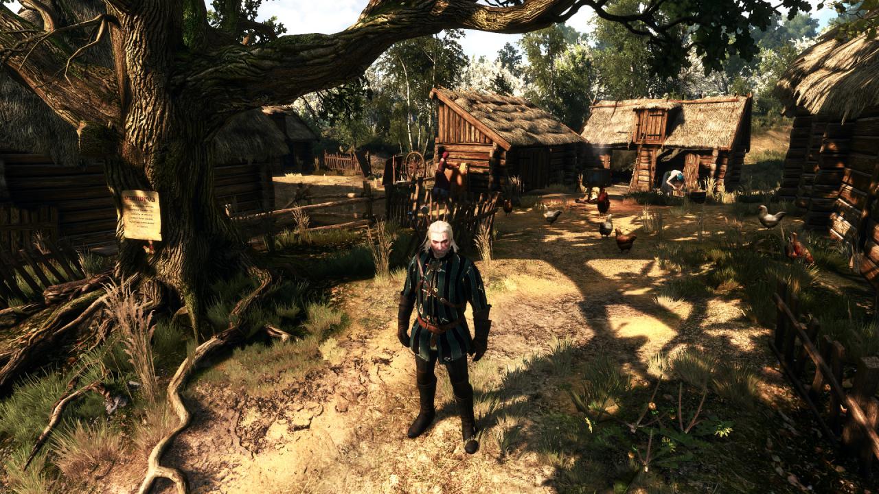[27/05/2015] The Witcher 3 PCGH-Enthusiast (Hoch) (18)