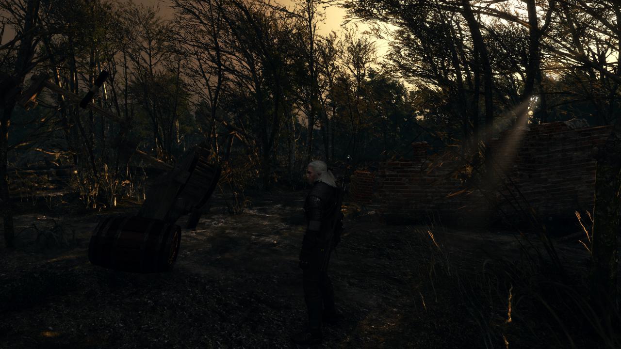 [27/05/2015] The Witcher 3 PCGH-Enthusiast (Hoch) (19)