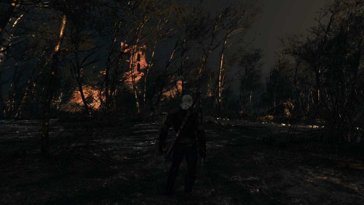 [27/05/2015] The Witcher 3 PCGH-Enthusiast (Hoch) (20)