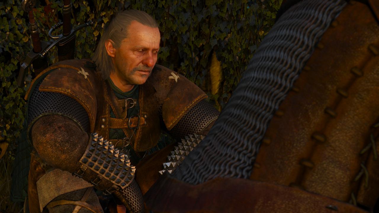 [15/05/2015] The Witcher 3 (21)
