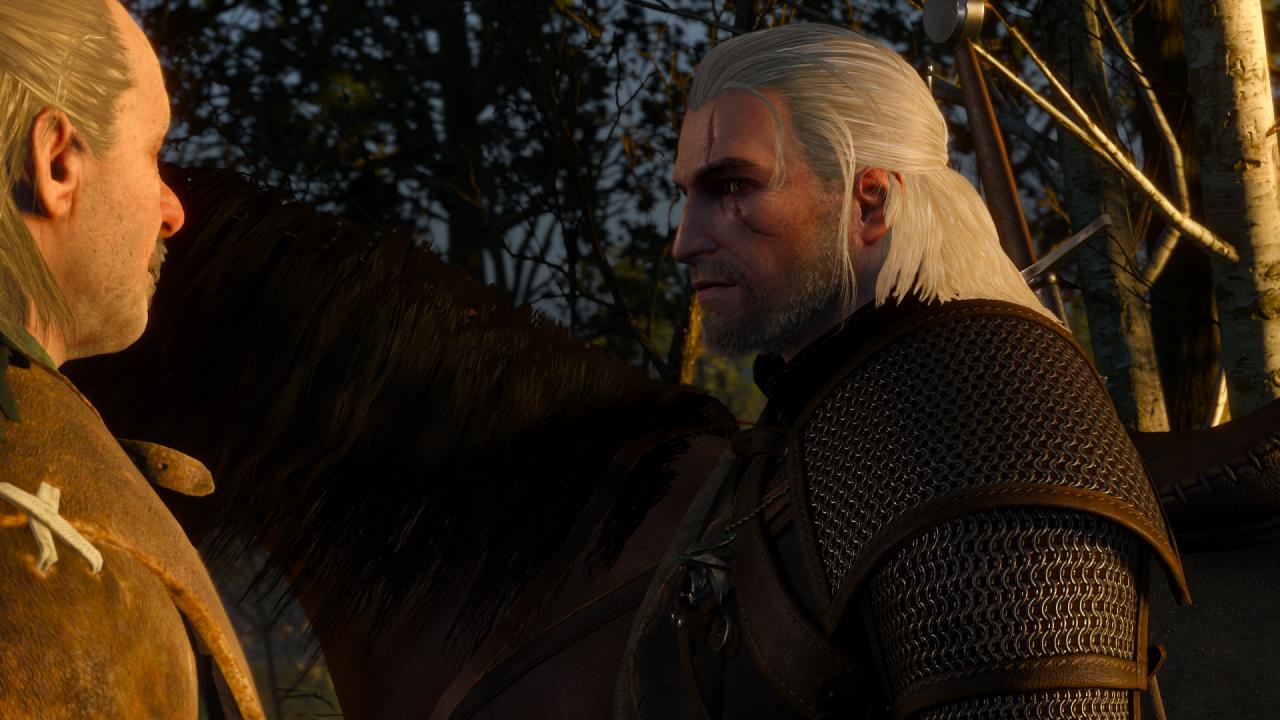 [15/05/2015] The Witcher 3 (23)