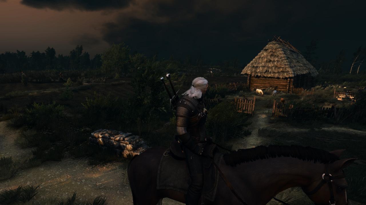 [27/05/2015] The Witcher 3 PCGH-Enthusiast (Hoch) (23)