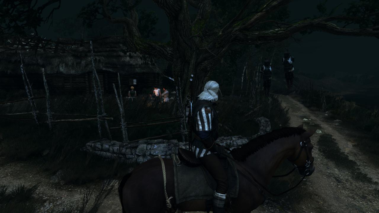 [27/05/2015] The Witcher 3 PCGH-Enthusiast (Hoch) (24)