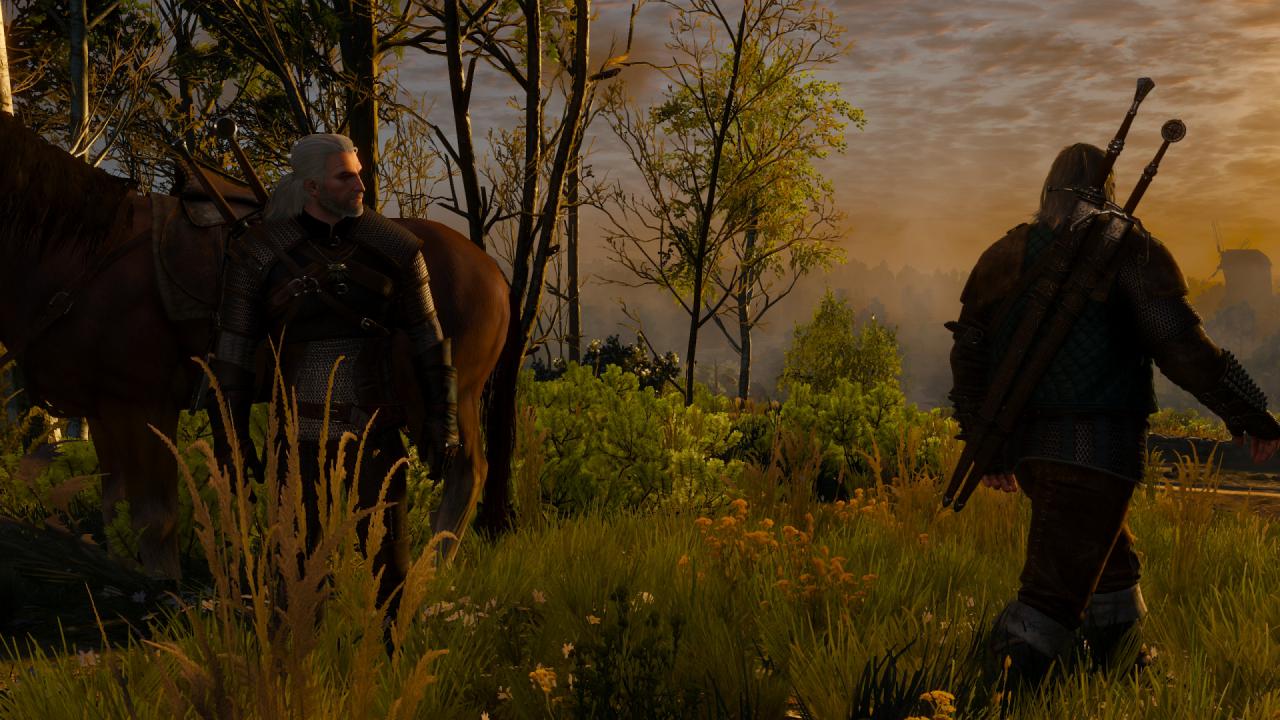 [15/05/2015] The Witcher 3 (25)