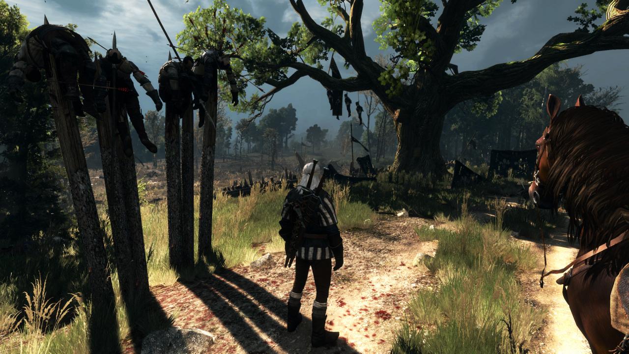 [27/05/2015] The Witcher 3 PCGH-Enthusiast (Hoch) (25)