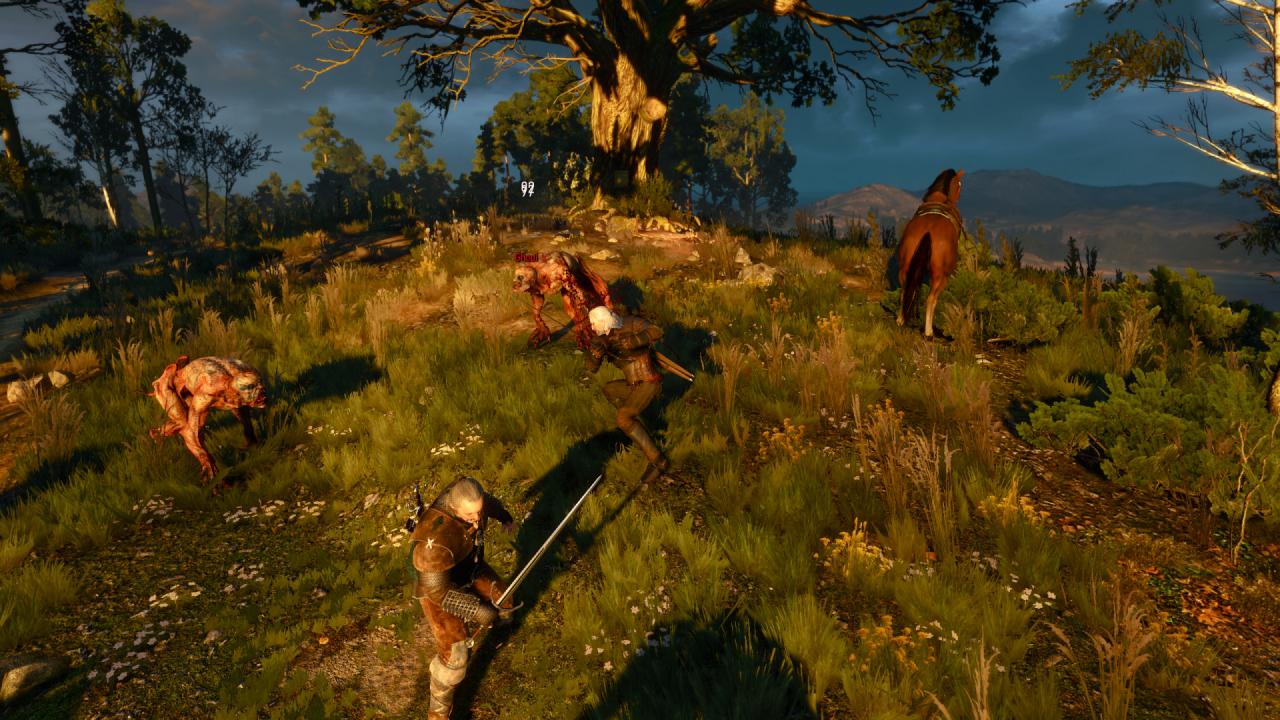 [15/05/2015] The Witcher 3 (27)