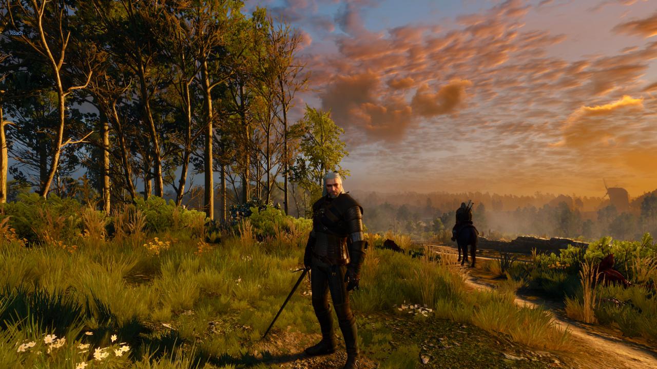 [15/05/2015] The Witcher 3 (28)