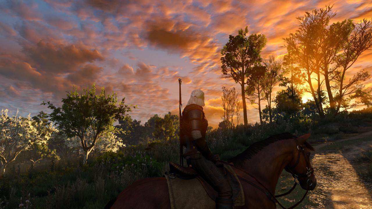 [15/05/2015] The Witcher 3 (29)