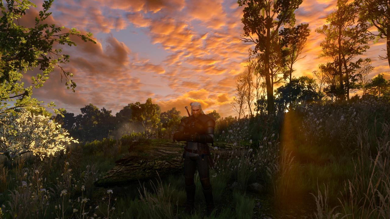 [15/05/2015] The Witcher 3 (30)
