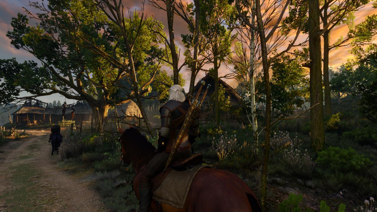 [15/05/2015] The Witcher 3 (31)