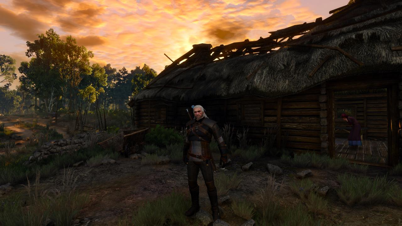 [15/05/2015] The Witcher 3 (32)