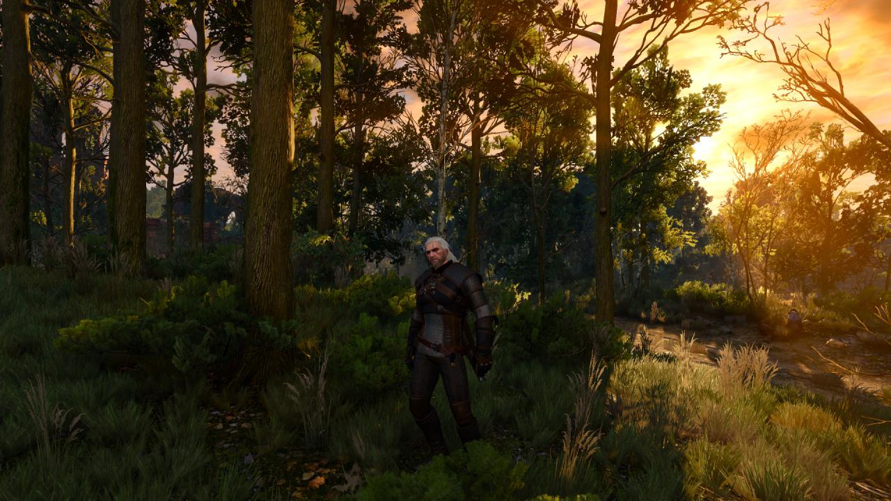 [15/05/2015] The Witcher 3 (33)