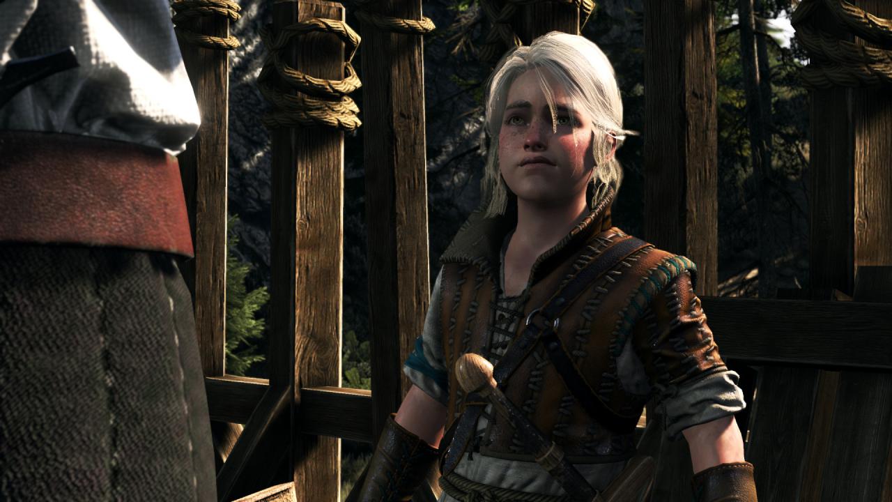 [27/05/2015] The Witcher 3 PCGH-Enthusiast (Hoch) (33)