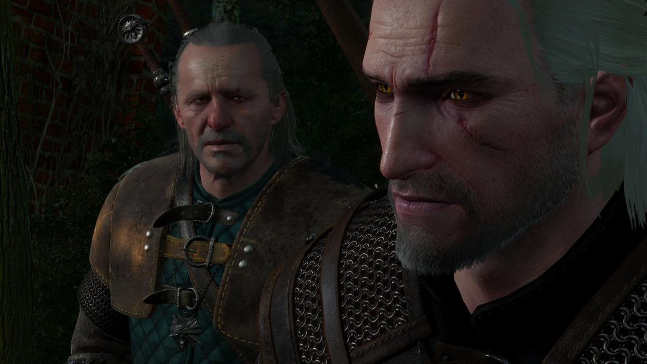 [15/05/2015] The Witcher 3 (36)