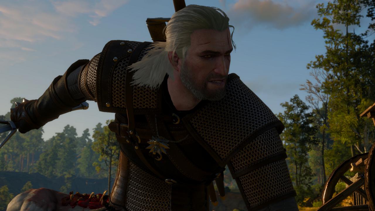 [15/05/2015] The Witcher 3 (37)