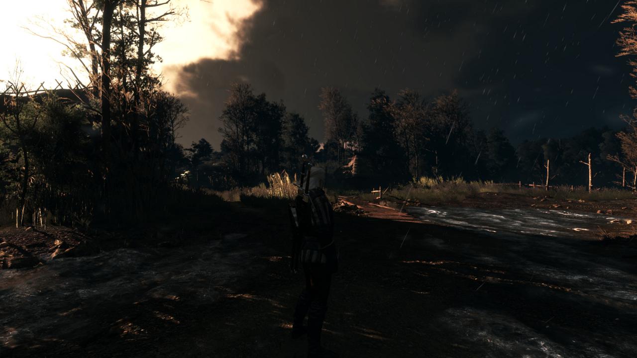 [27/05/2015] The Witcher 3 PCGH-Enthusiast (Hoch) (43)