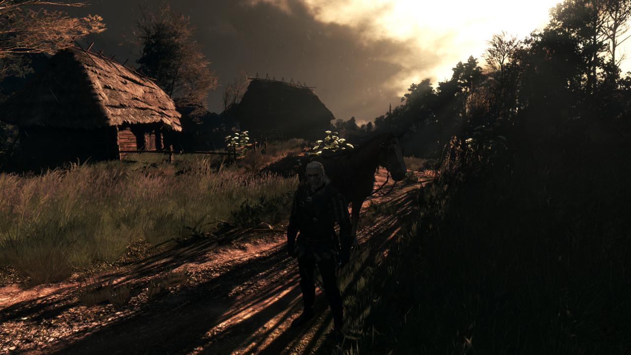 [27/05/2015] The Witcher 3 PCGH-Enthusiast (Hoch) (44)