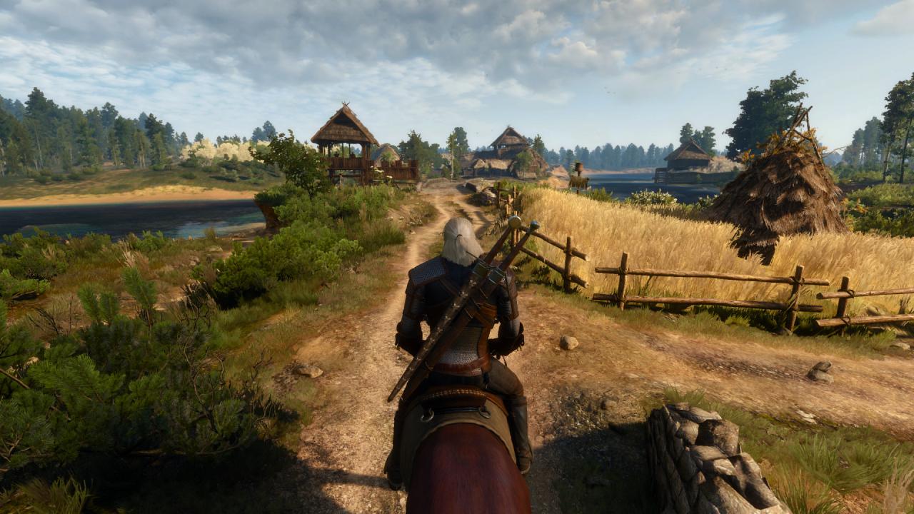 [15/05/2015] The Witcher 3 (45)