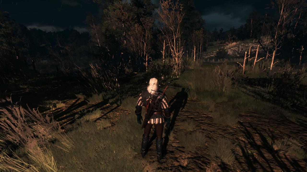 [27/05/2015] The Witcher 3 PCGH-Enthusiast (Hoch) (45)
