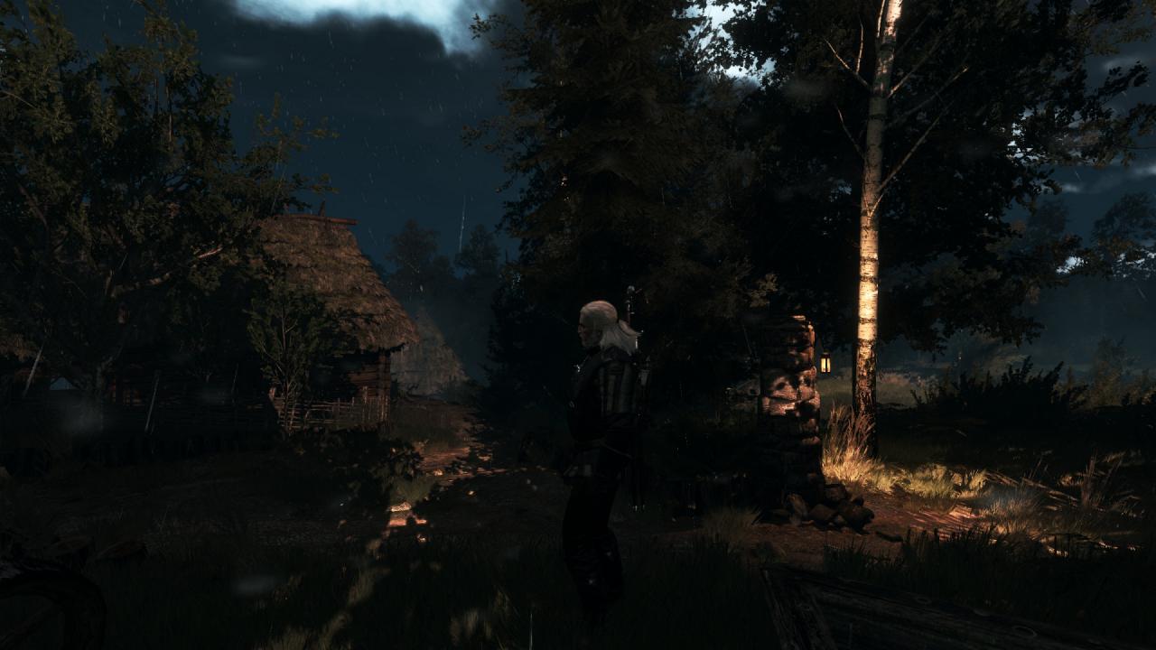 [27/05/2015] The Witcher 3 PCGH-Enthusiast (Hoch) (46)