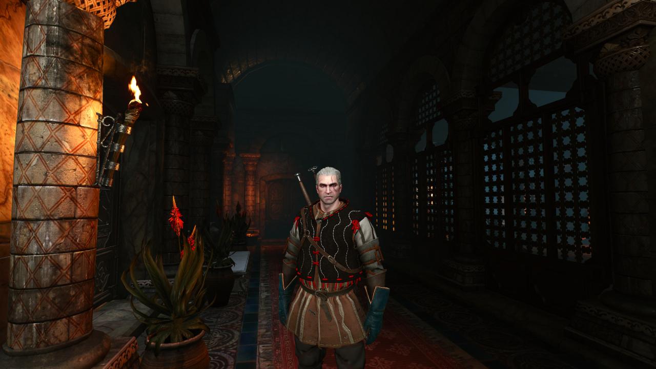[15/05/2015] The Witcher 3 (49)