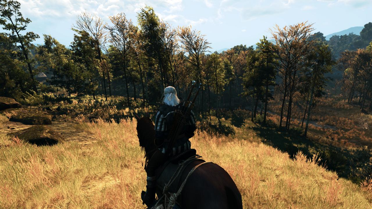 [27/05/2015] The Witcher 3 PCGH-Enthusiast (Hoch) (51)