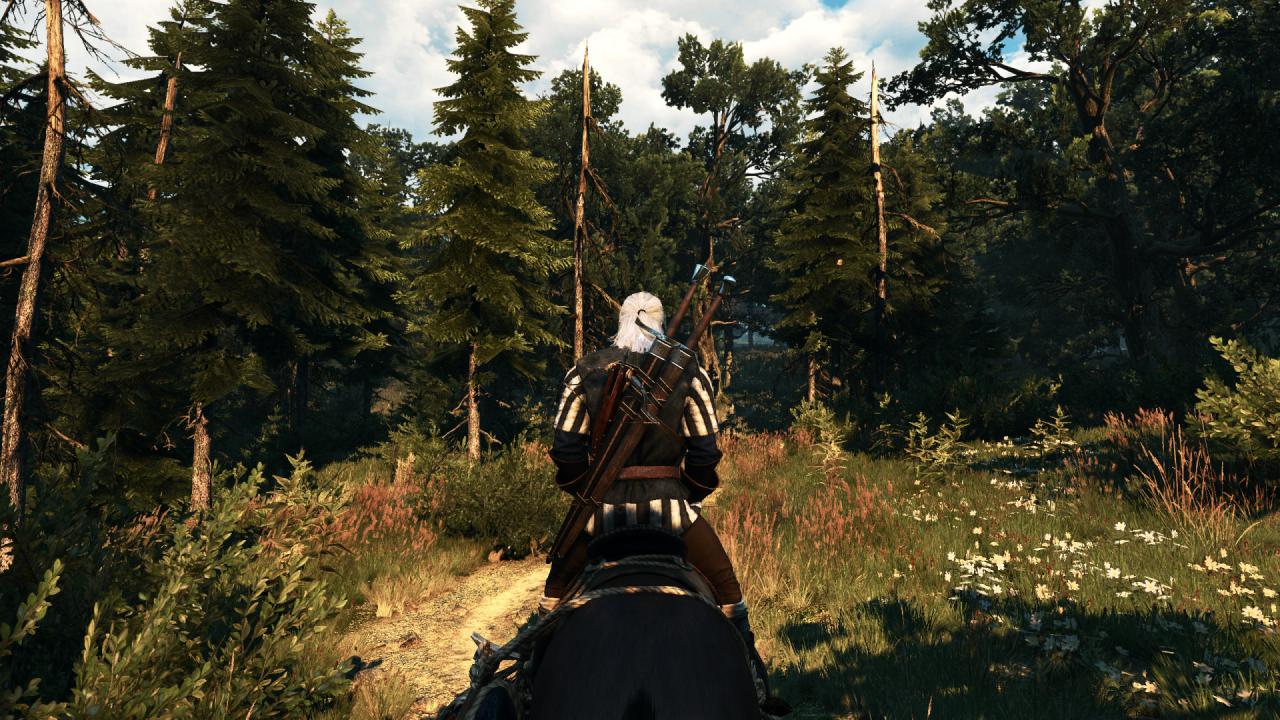 [27/05/2015] The Witcher 3 PCGH-Enthusiast (Hoch) (52)