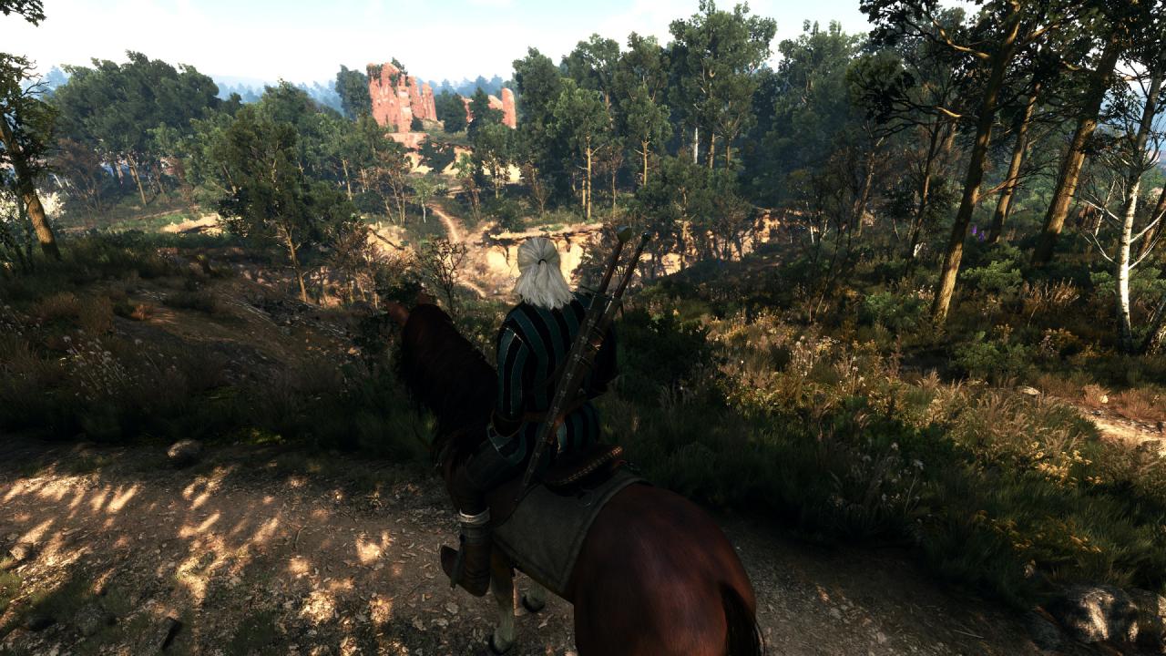 [27/05/2015] The Witcher 3 PCGH-Enthusiast (Hoch) (55)