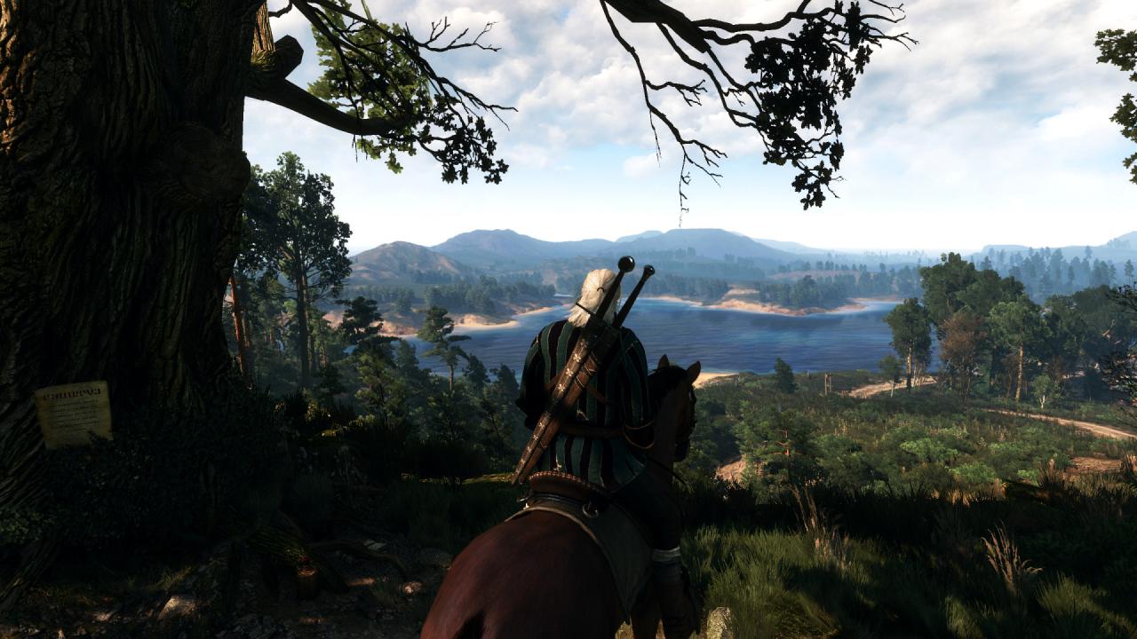 [27/05/2015] The Witcher 3 PCGH-Enthusiast (Hoch) (56)