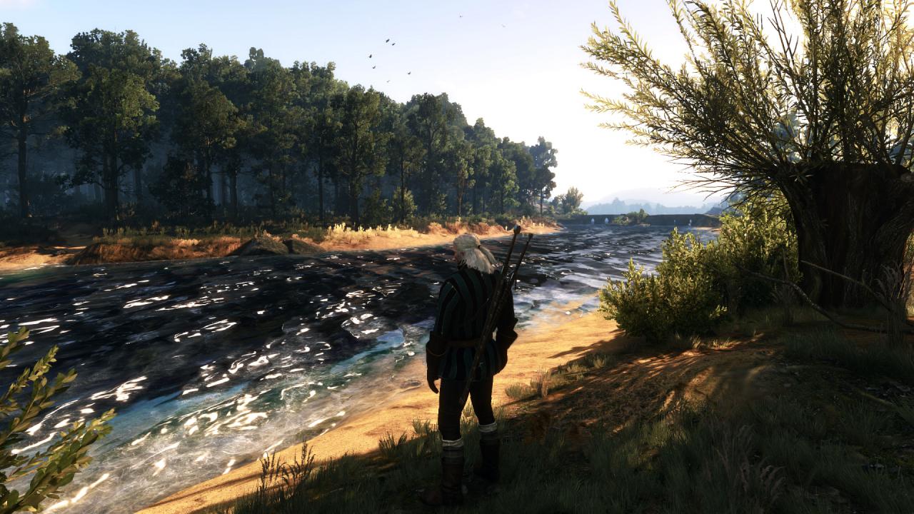 [27/05/2015] The Witcher 3 PCGH-Enthusiast (Hoch) (59)