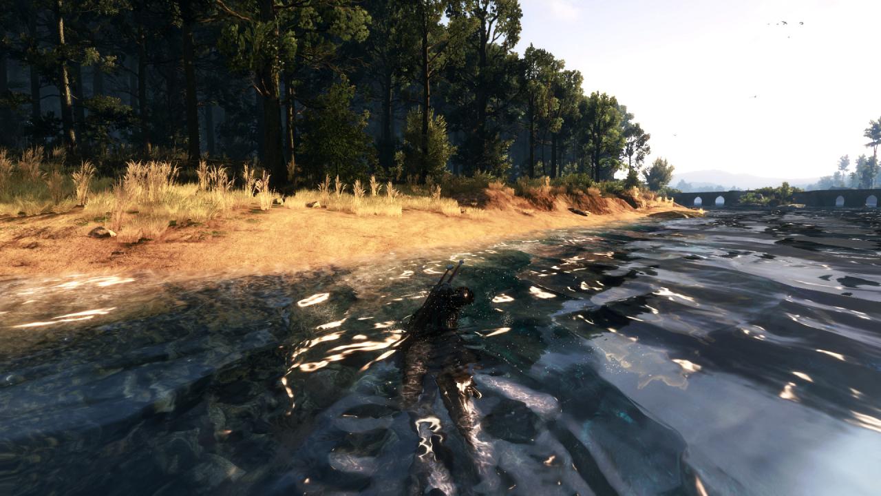 [27/05/2015] The Witcher 3 PCGH-Enthusiast (Hoch) (60)