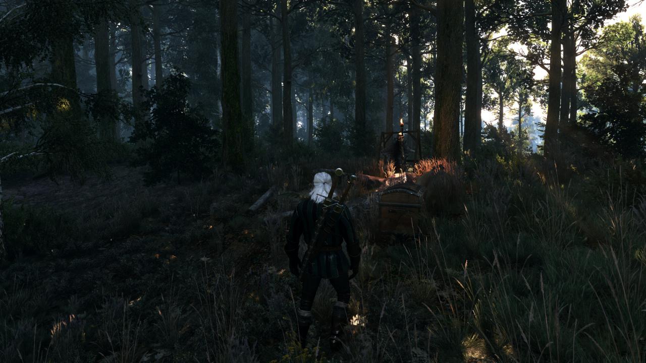 [27/05/2015] The Witcher 3 PCGH-Enthusiast (Hoch) (61)