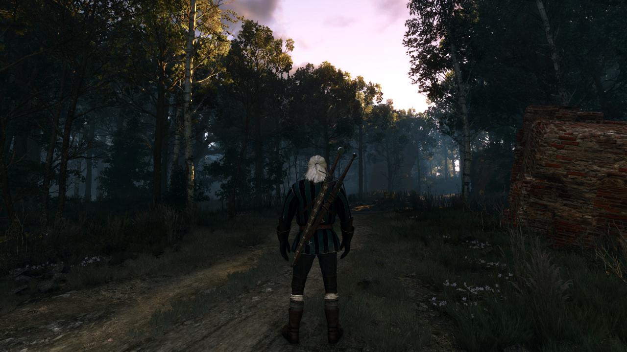 [27/05/2015] The Witcher 3 PCGH-Enthusiast (Hoch) (62)