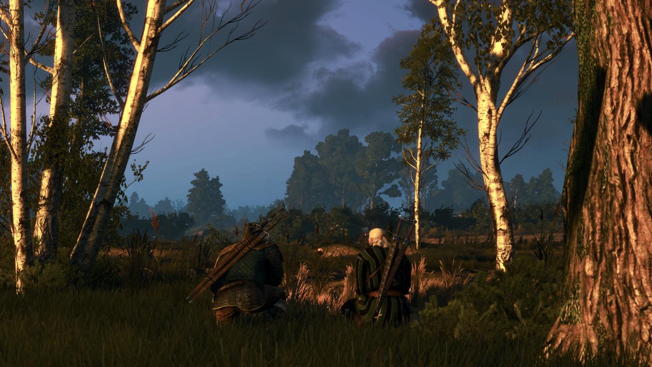 [27/05/2015] The Witcher 3 PCGH-Enthusiast (Hoch) (66)