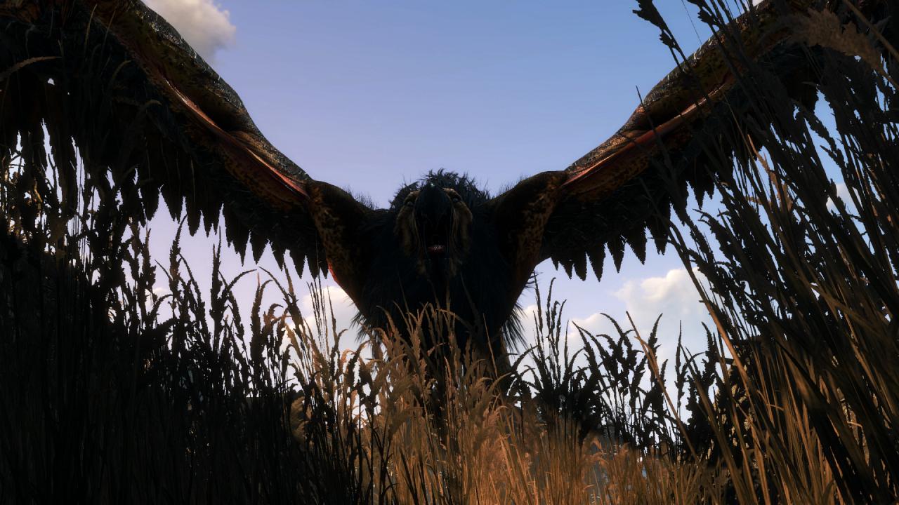 [27/05/2015] The Witcher 3 PCGH-Enthusiast (Hoch) (67)