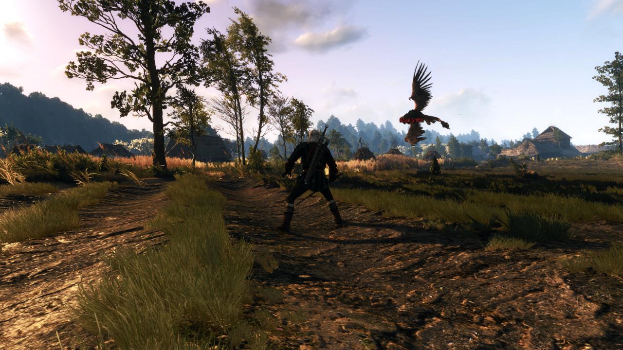 [27/05/2015] The Witcher 3 PCGH-Enthusiast (Hoch) (69)
