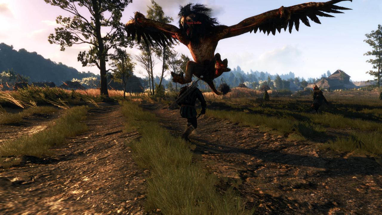 [27/05/2015] The Witcher 3 PCGH-Enthusiast (Hoch) (70)