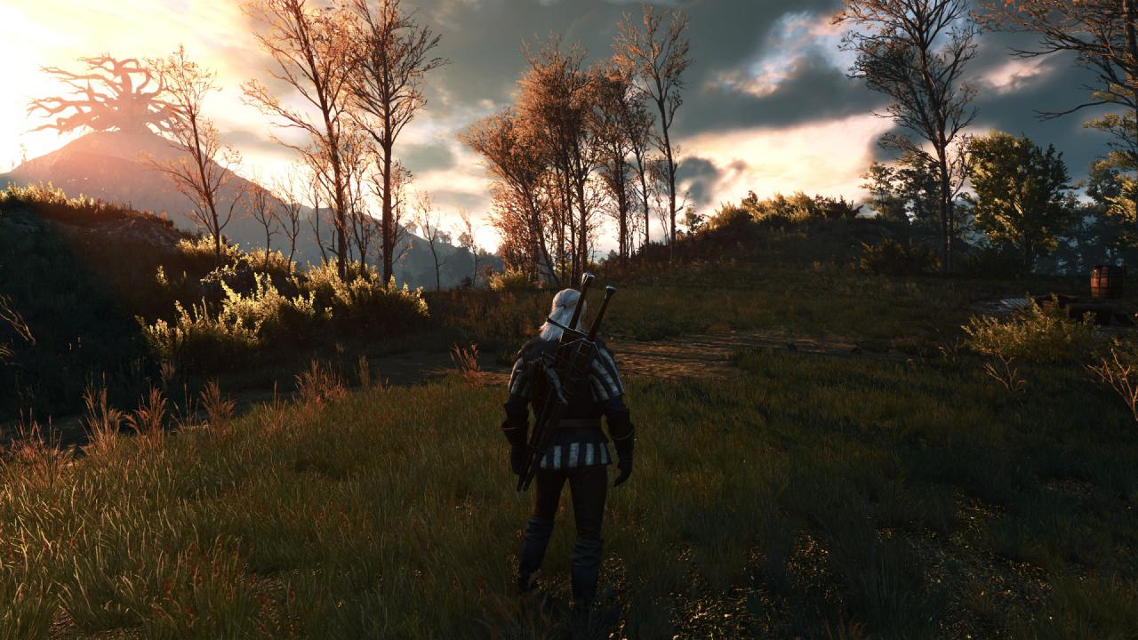 [27/05/2015] The Witcher 3 PCGH-Enthusiast (Hoch) (74)
