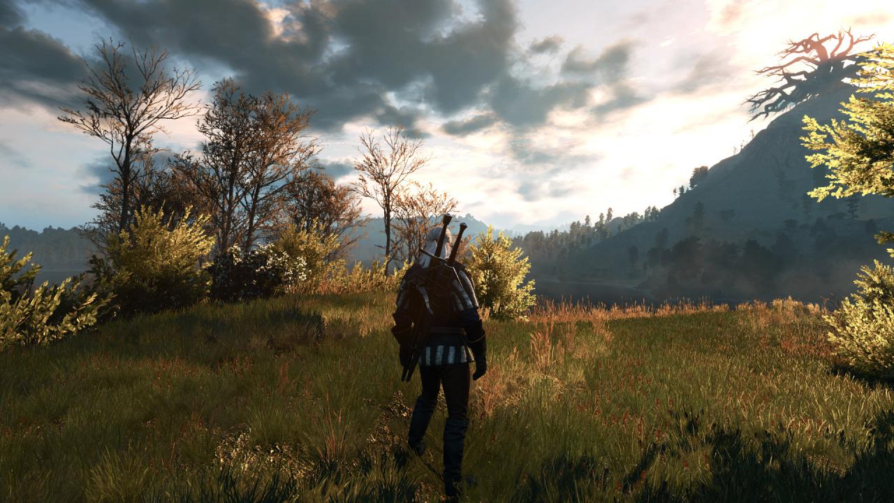 [27/05/2015] The Witcher 3 PCGH-Enthusiast (Hoch) (75)