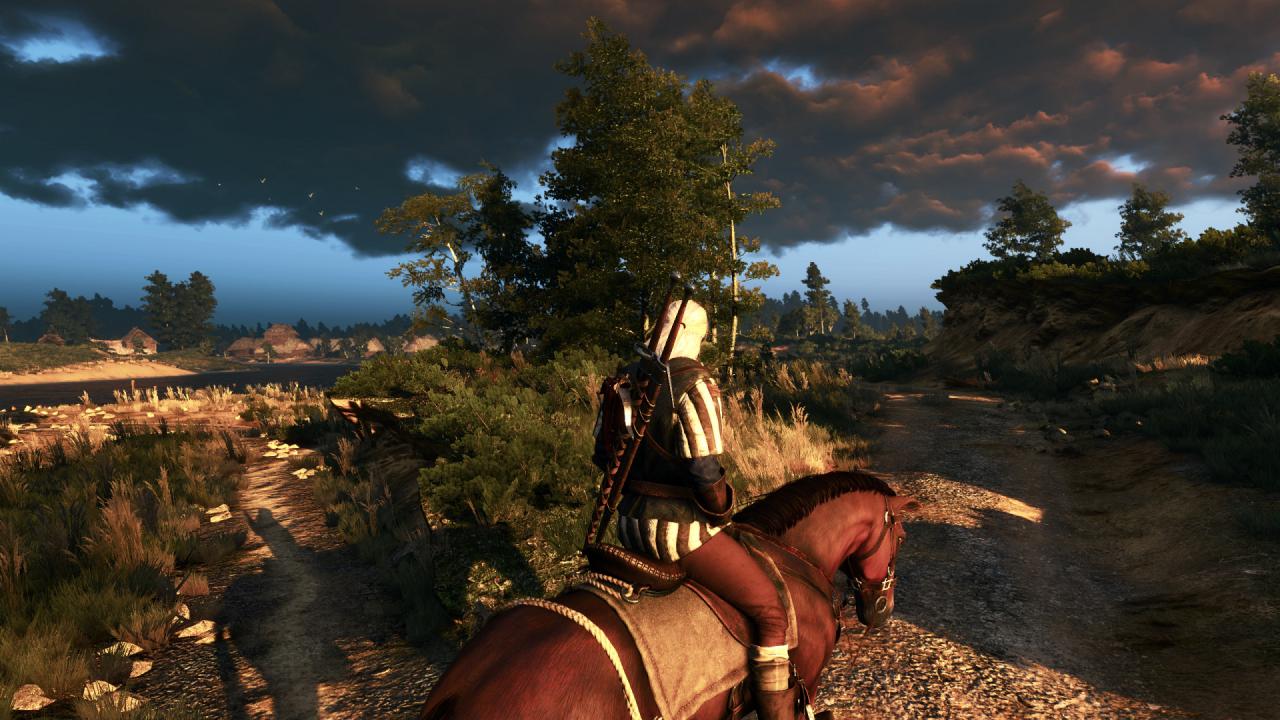 [27/05/2015] The Witcher 3 PCGH-Enthusiast (Hoch) (76)