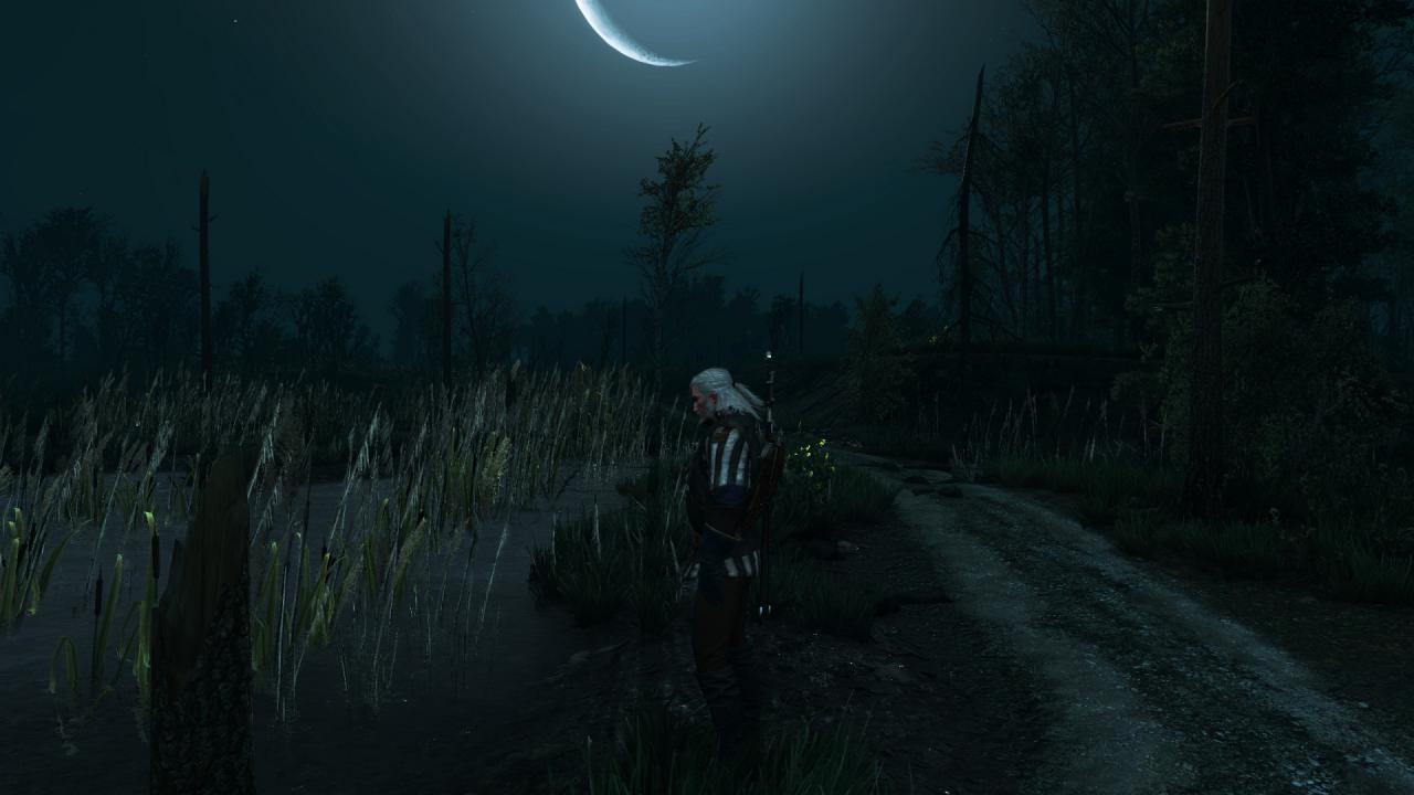 [27/05/2015] The Witcher 3 PCGH-Enthusiast (Hoch) (78)