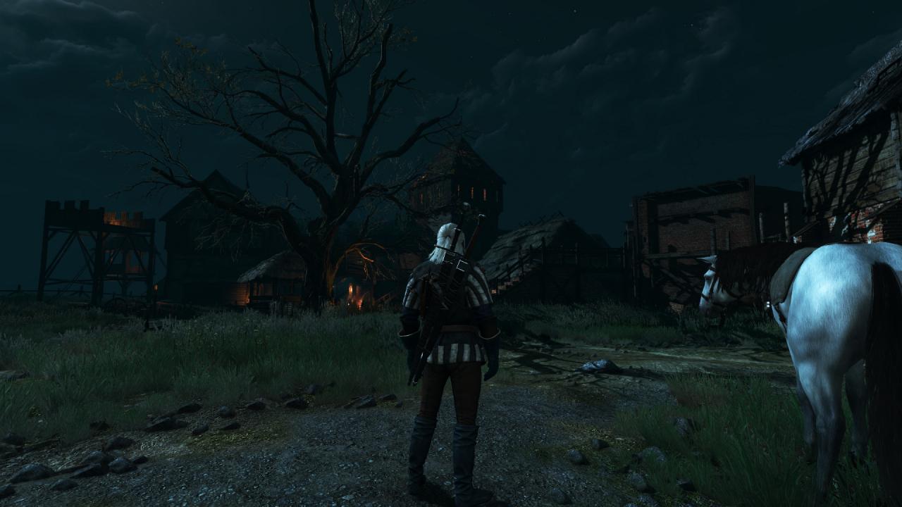 [27/05/2015] The Witcher 3 PCGH-Enthusiast (Hoch) (82)