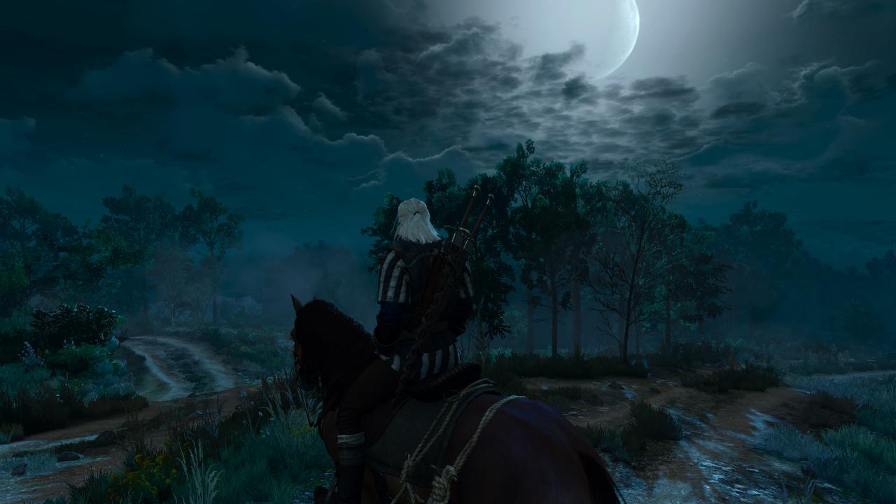 [17/05/2015] The Witcher 3 - Bilder aus den ersten Spielstunden (21)