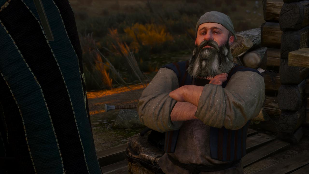 [17/05/2015] The Witcher 3 - Bilder aus den ersten Spielstunden (28)