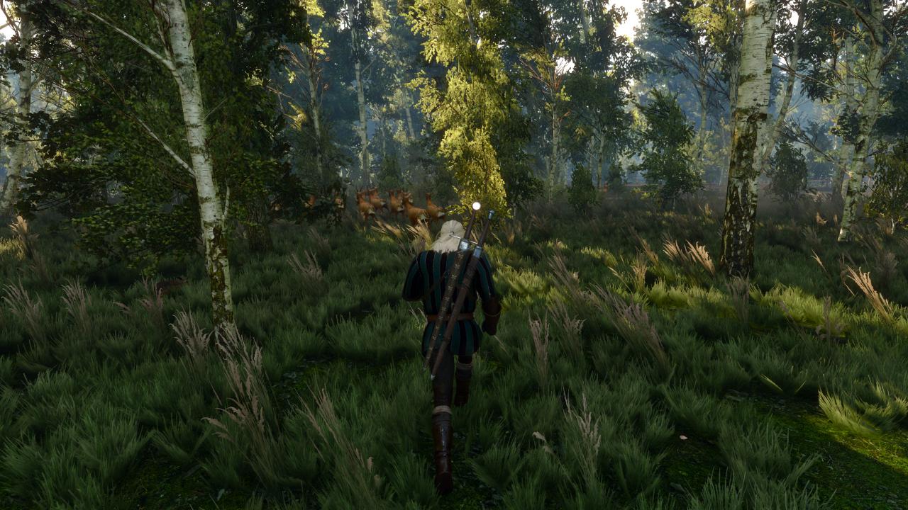 [17/05/2015] The Witcher 3 - Bilder aus den ersten Spielstunden (35)