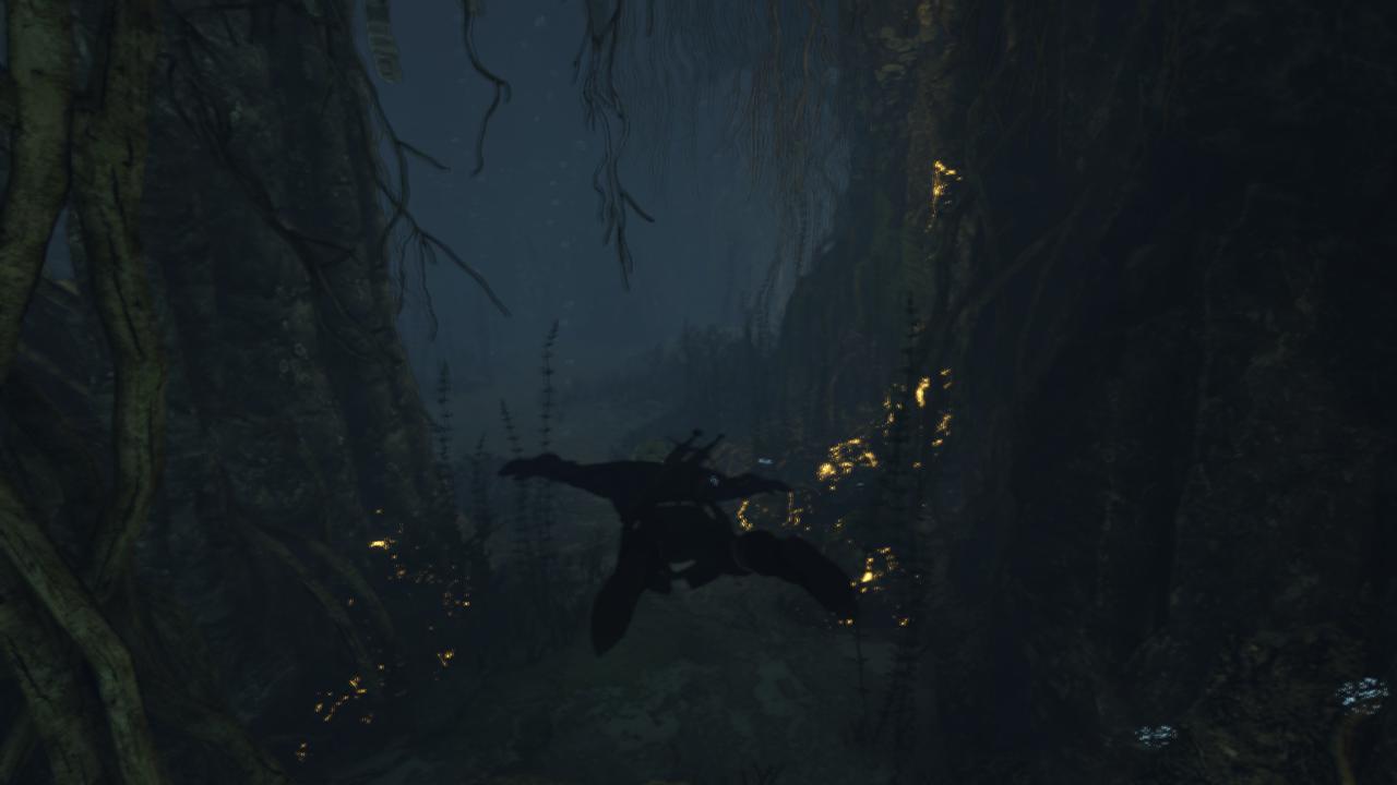 [17/05/2015] The Witcher 3 - Bilder aus den ersten Spielstunden (64)