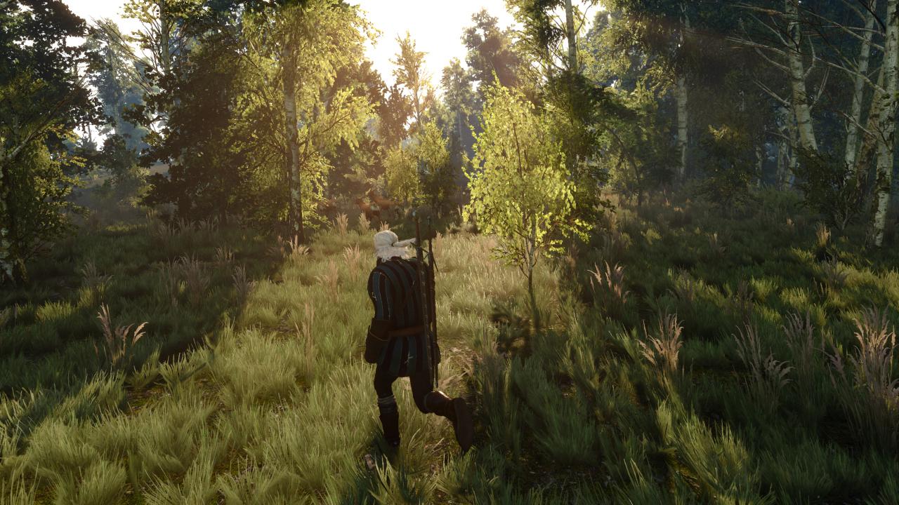 [17/05/2015] The Witcher 3 - Bilder aus den ersten Spielstunden (68)