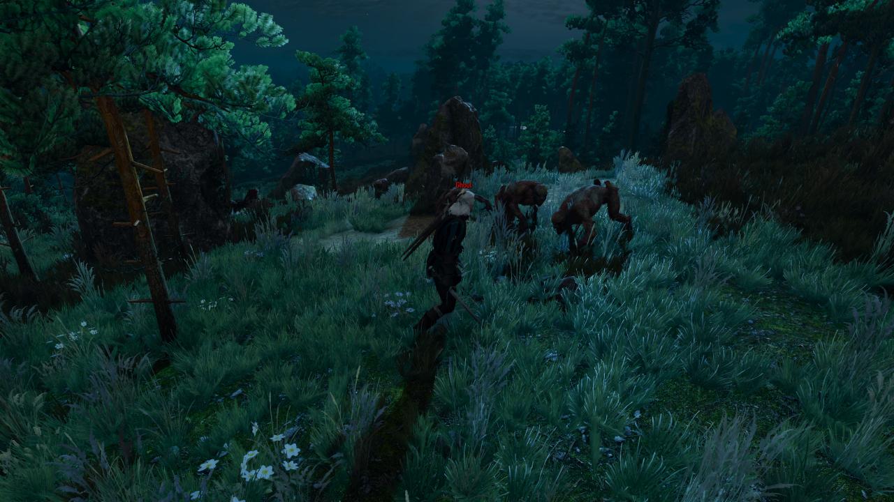 [17/05/2015] The Witcher 3 - Bilder aus den ersten Spielstunden (79)