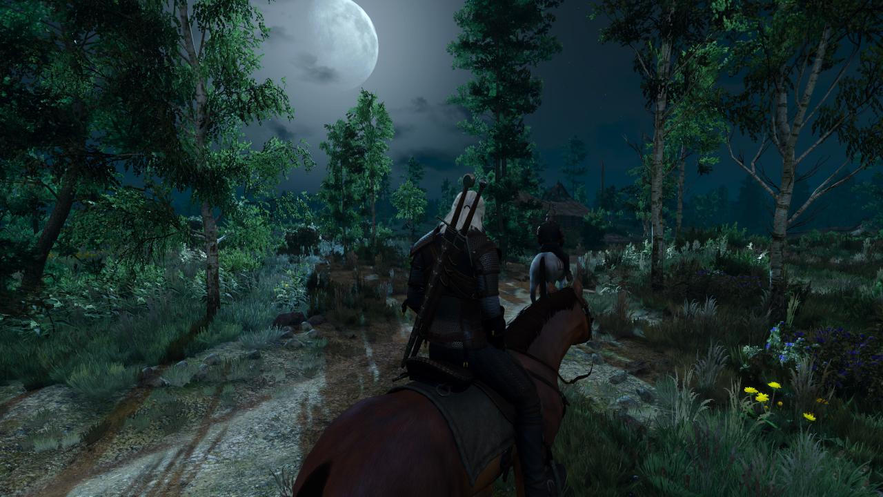 [17/05/2015] The Witcher 3 - Bilder aus den ersten Spielstunden (84)